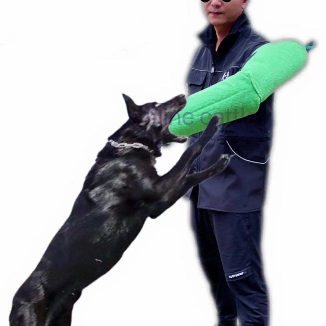 Dog Training Actual Combat Hidden Sleeves Shepherd Rottweiler Police Guard Dogs Bite Tug Toy Perros Chew Accessories Pet Product