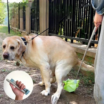 Dog Outdoor Toilet Walking Toilet Pick Up Shovel Dogs Pull Toilets Dogs Toilets Supplies Scalable Convenient Storing Feces Tools